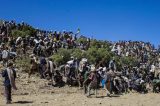 Mutirões no deserto