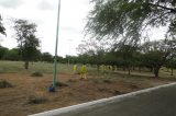 Parque Josefa Coelho recebe limpeza e manutenção