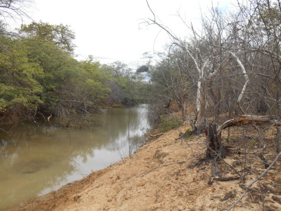 refugio vida silvestre caatinga  potnal  3