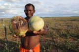 Pequenos produtores não têm como retirar água dos canais gigantescos do São Francisco