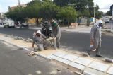 Prefeitura recupera canteiro central da Av. da Integração