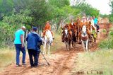 Uauá é mais uma vez escolhida como destaque nacional na área de cultura nordestina. Veja as fotos