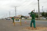 O centro de Petrolina terá recuperação asfáltica