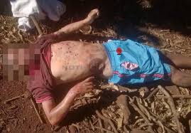 agricultor morto
