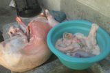 Vigilância Sanitária de Petrolina apreende carne de origem clandestina e recolhe aves