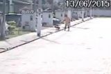 PM afasta tenente que matou a tiros cachorro da vizinha na Bahia