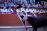 Toureiro é chifrado no saco escrotal e perde um testículo Toureiro é chifrado no saco escrotal e perde um testículo