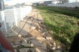 Jacaré causa medo em Petrolina