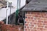 Suposto PM espanca homem algemado; assista Suposto PM espanca homem algemado; assista