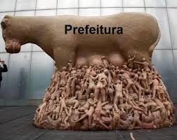 vaca leitera da prefa
