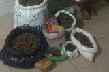 Homem é preso com 14kg de maconha e arma de fogo