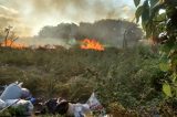 Mais de meia tonelada de maconha é apreendida em Belém do São Francisco
