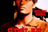 Assista ao filme ‘O Dolar furado’