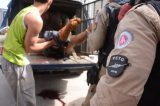 Quadrilha tenta roubar obra, troca tiros com a PM e um bandido morre