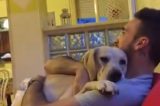Em vídeo comovente, cachorro pede desculpas ao dono após levar bronca