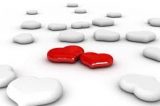 O Amor e Suas Diferenças
