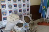 PM apreende quase 80 kg de maconha em Belém do São Francisco PM apreende quase 80 kg de maconha em Belém do São Francisco