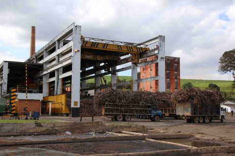 usina palmares