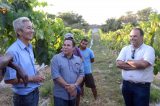 Secretários inspecionam Ilha do Vinho e definem data da primeira poda