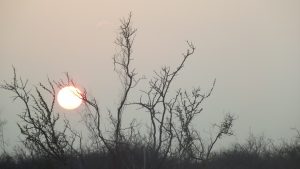 DSCF7071