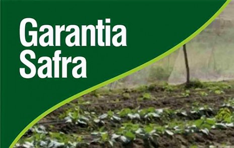 garantia safra (2)