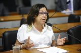 Até tu?: Lídice da Mata foi a senadora mais cara da Bahia em 2015, apontam dados do Congresso