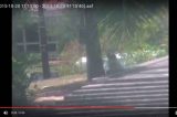 Idoso é autuado em flagrante assediando criança em Pernambuco