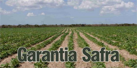 Garantia_Safra_2013