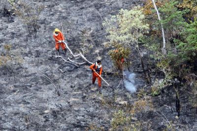chapada incendio