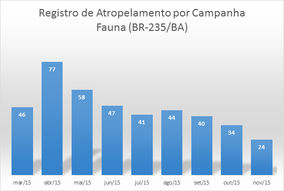 grafico br1