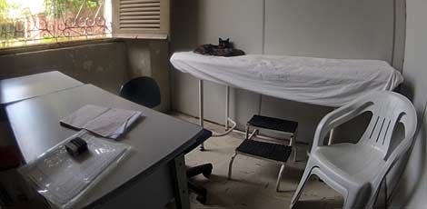 hospital cama com gato
