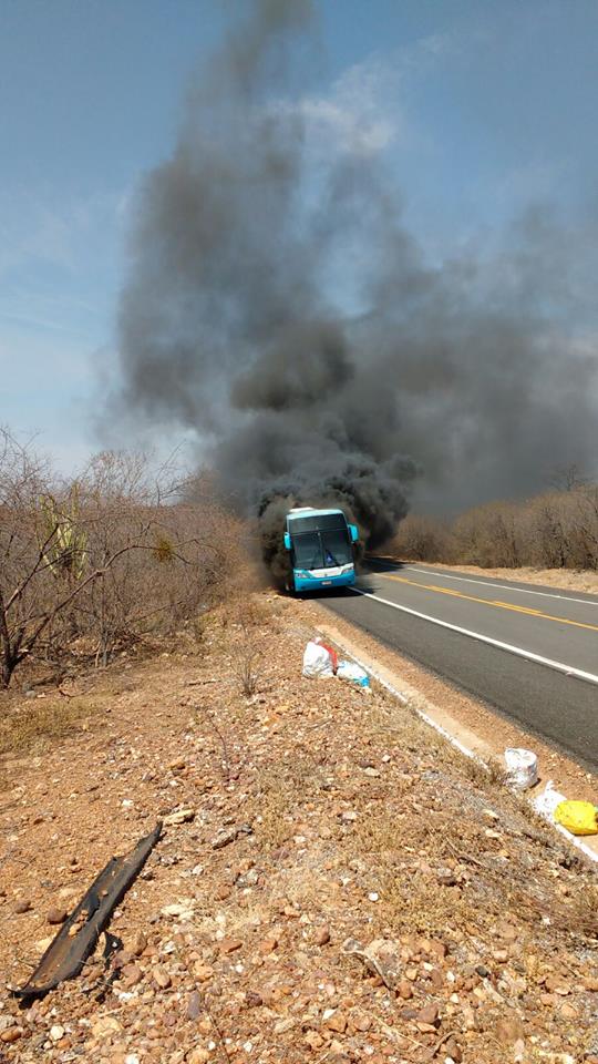 onibus queimado2