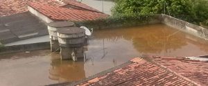 dengue foco de doença muriçocas e dengue