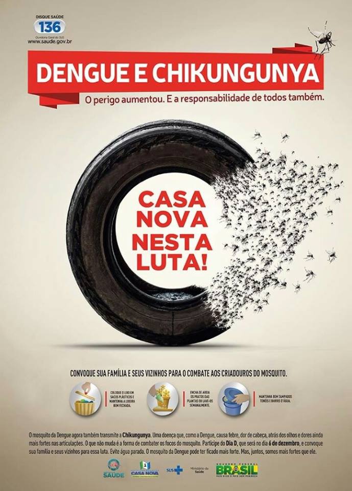 dengue2