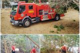 NOTA / CONTROLE DE FOCOS DE INCÊNDIO NA ILHA DO FOGO