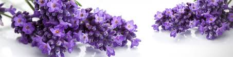 pesar flores