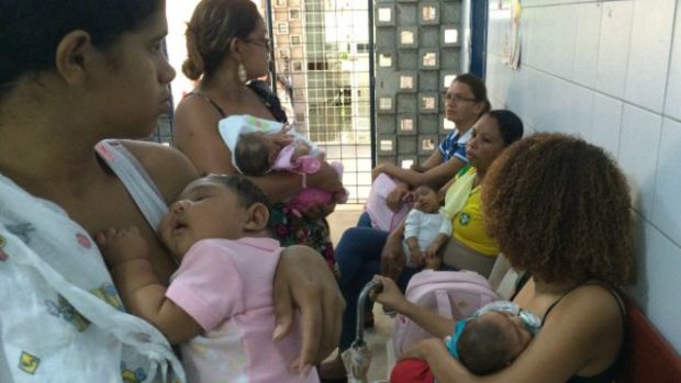 zica bebes nos braços
