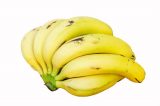 Banana corre risco de extinção