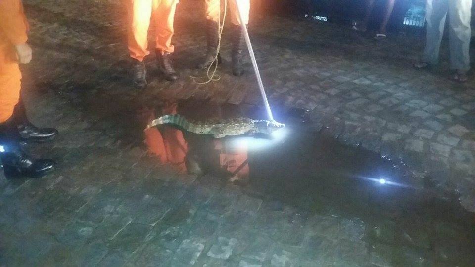 bombeiros3