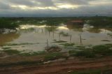 A volta do calor com muriçocas e mosquitos da dengue