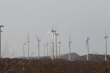 Energia eólica já abastece mais de 30% do Nordeste