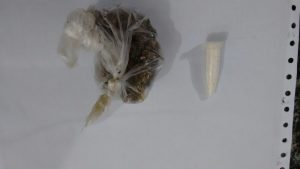 maconha e cocaina