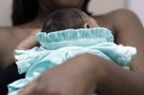 EUA confirmam caso de microcefalia ligado ao zika vírus; mãe visitou Brasil