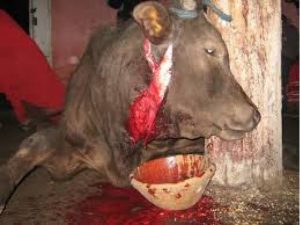 magia negra
