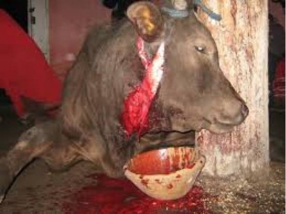 magia negra