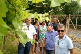 Secretários comemoram sucesso do plantio de uva na Ilha do Vinho‏