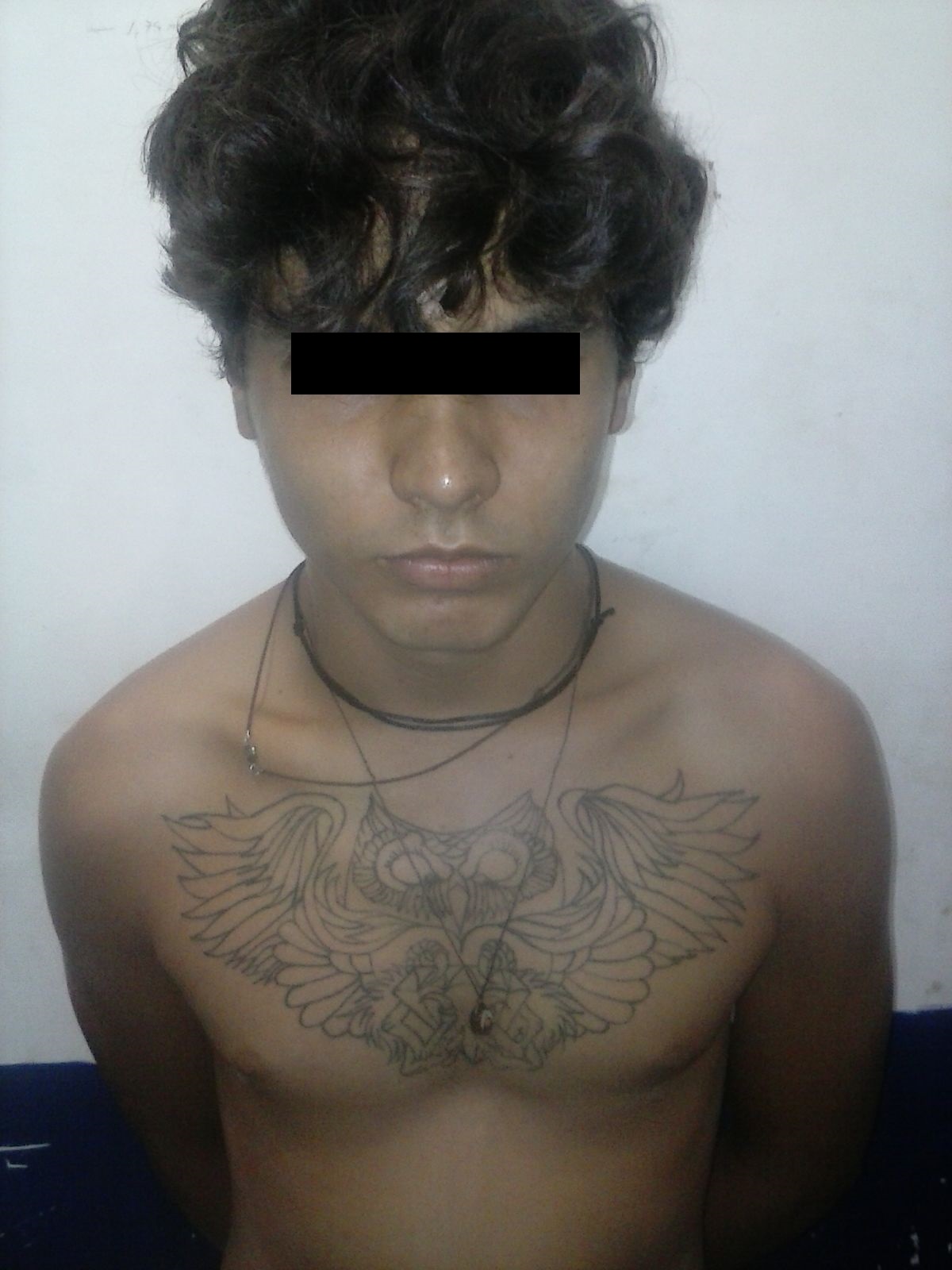 preso com maconha assanhado