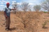 Profetas da chuva usam sinais da natureza para fazer previsões no Ceará