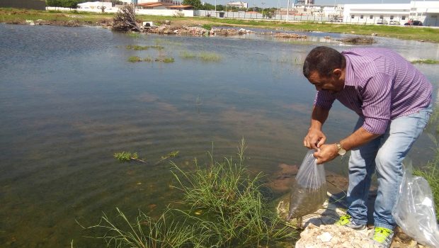 alevinos1