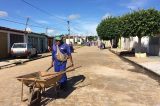 Uauá no combate à dengue